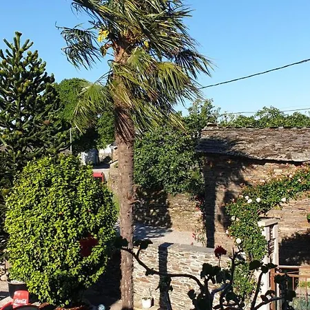 Anamar Lugo
